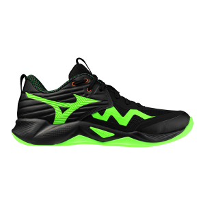 MIZUNO WAVE MOMENTUM PRO